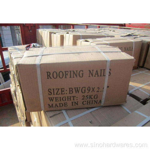 umbrella head smooth shank roofing nails